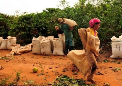 Trabalho escravo é ainda uma realidade no Brasil