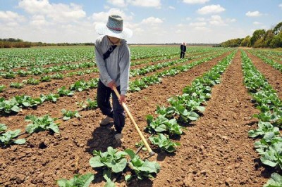 Para Contag, reforma da previdência inviabiliza aposentadoria rural e pode provocar êxodo