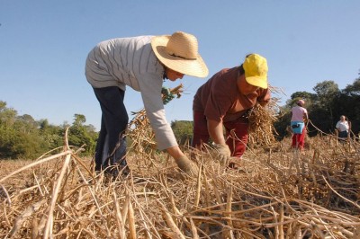 Trabalhador rural poderá receber casa e comida no lugar do salário