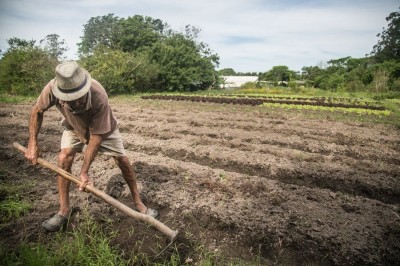 MP de Bolsonaro desmonta Previdência rural e penaliza trabalhador do campo
