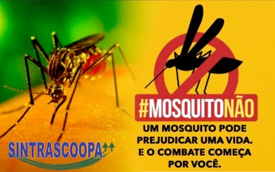 SINTRASCOOPA: Sindicato entra na luta contra o mosquito transmissor da dengue