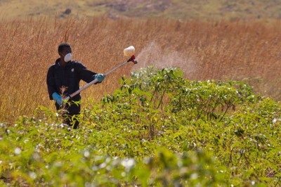 Cegueira e corrosão da pele: novas regras aumentam riscos para trabalhador rural